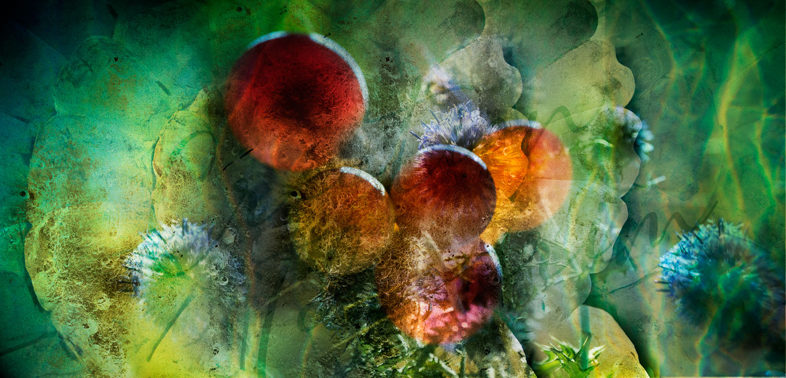 Possible résilience